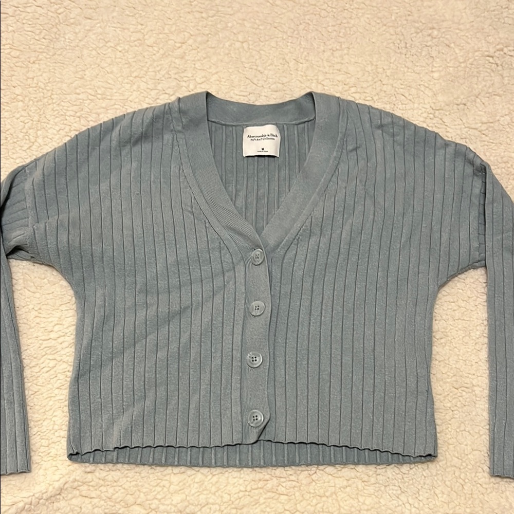 Abercrombie & Fitch Blue Cardigan Sweater PLUS tank top (see last picture)